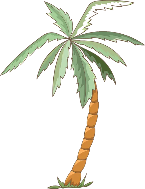 拉美时尚流行趋势与热卖单品